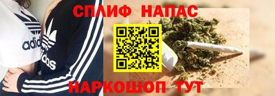 стафф Донской