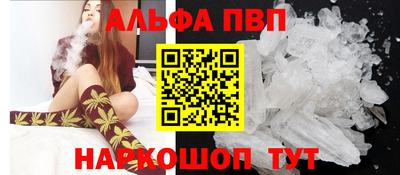 стафф Донской