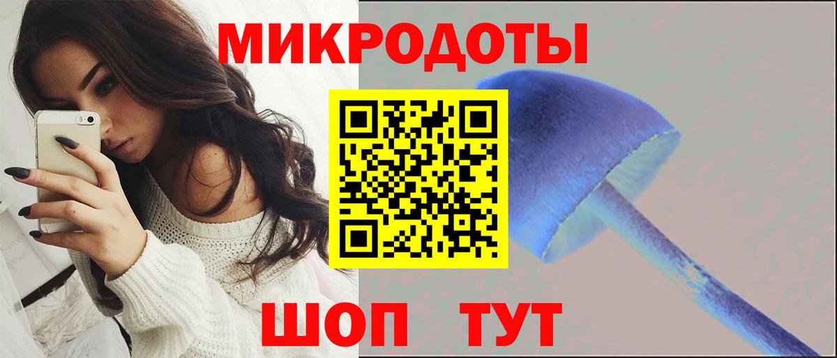 Карпинск  купить закладку  Галлюциногенные грибы прущие грибы  Вход с VPN  Галлюциногенные грибы Cubensis 